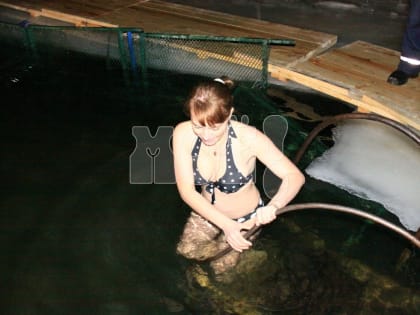 В ночь на Крещение запретят парковки и движение на некоторых улицах Воронежа