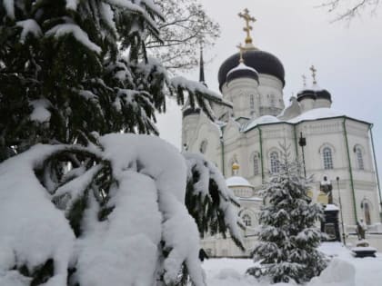 Обзор РИА «Воронеж». Какие законы вступают в силу в январе 2025 года