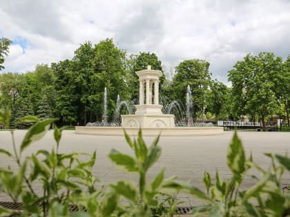 В парке «Орленок» стартует проект «Культурное лето»