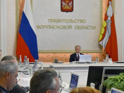 В правительстве Воронежской области рассматривают дополнительные критерии оценки эффективности работы органов исполнительной власти