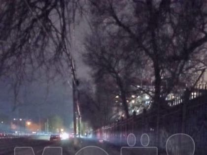 Воронежцы не просили, но получили бесплатные катки по всему городу