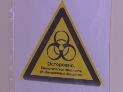 Почти 500 новых случаев ВИЧ в Воронежской области зарегистрировали в 2024-м