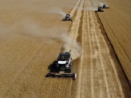 Казахстан возобновит ввоз российской пшеницы без ограничений с 1 января