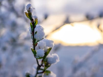 Прогноз погоды в Воронежской области на 7.02.2024