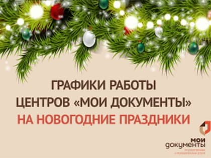 Графики работы центров «Мои Документы» Воронежской области на новогодние праздники