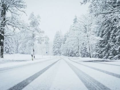 Водителей предупредили о снеге и околонулевой температуре на трассе в Воронежской области