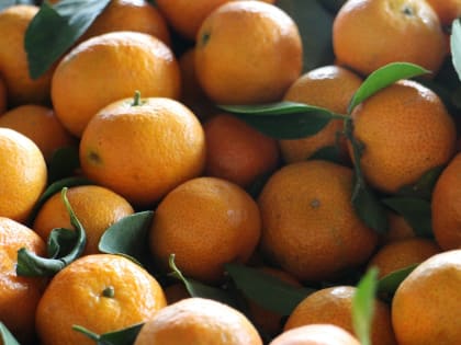 Мандарины каждый день: чем опасно переедание детьми и взрослыми