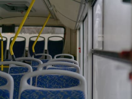 Воронежцев озадачило «изменение» популярного автобусного маршрута