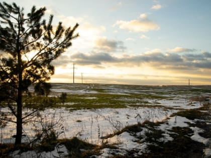 Пятый температурный рекорд установлен с начала года в Воронеже