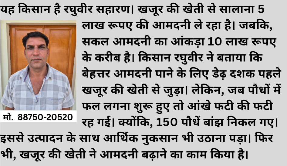 150 पौधे निकले बेकार, फिर भी खजूर की खेती से हुई शानदार कमाई