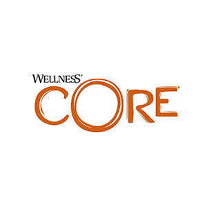 Logo-Wellness-CORE_axgwch