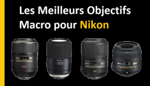 Les Meilleurs Objectifs Macro pour Nikon