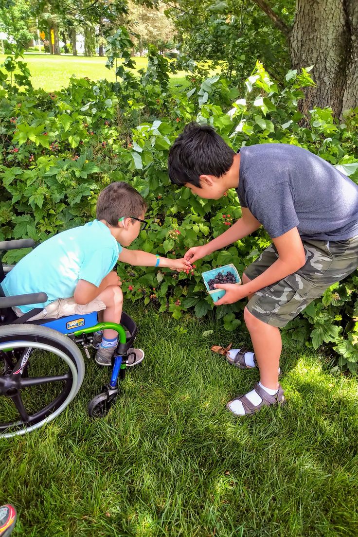 An adult reading with a child