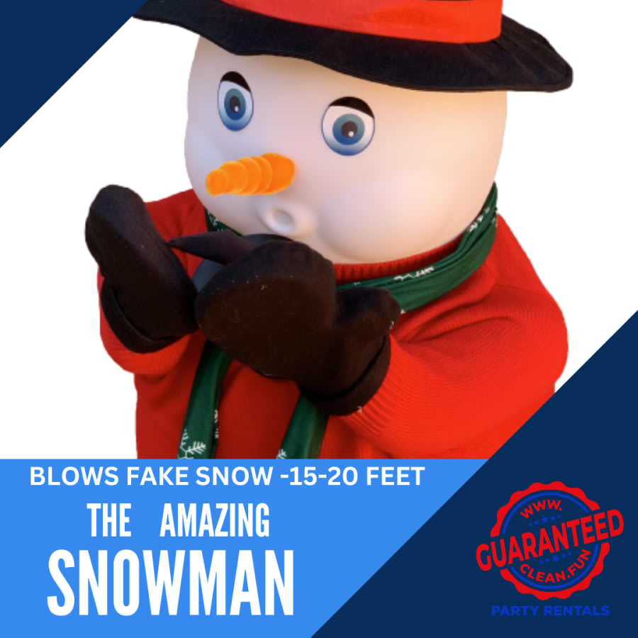 The Amazing Snowman rental