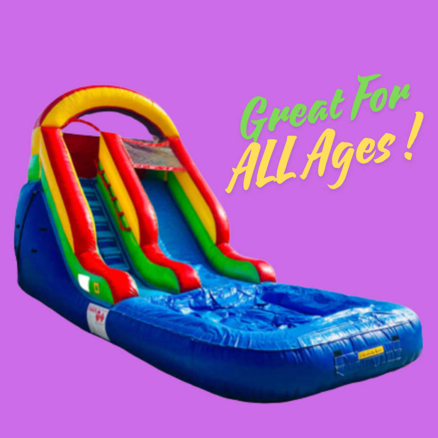 Multicolor Inflatable Slide rental
