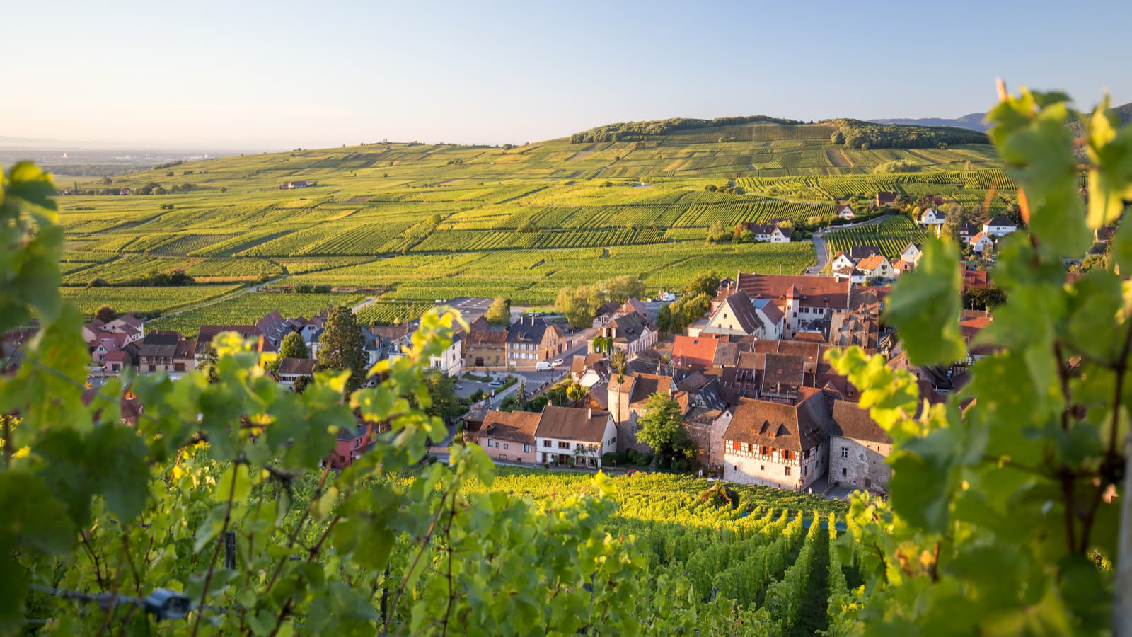 Photo de Route des Vins d’Alsace