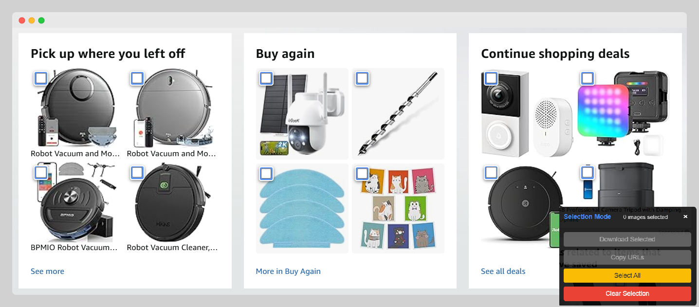 Batch Downloads Feature
