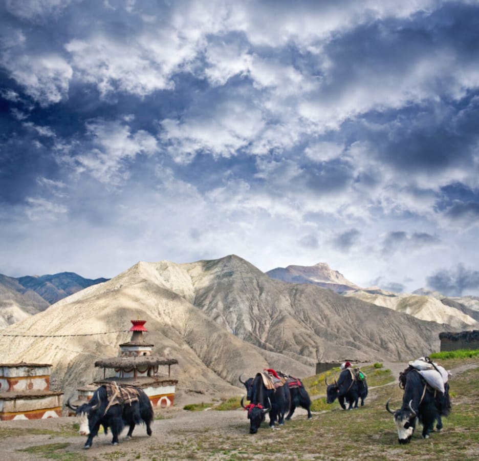 Dolpo Region