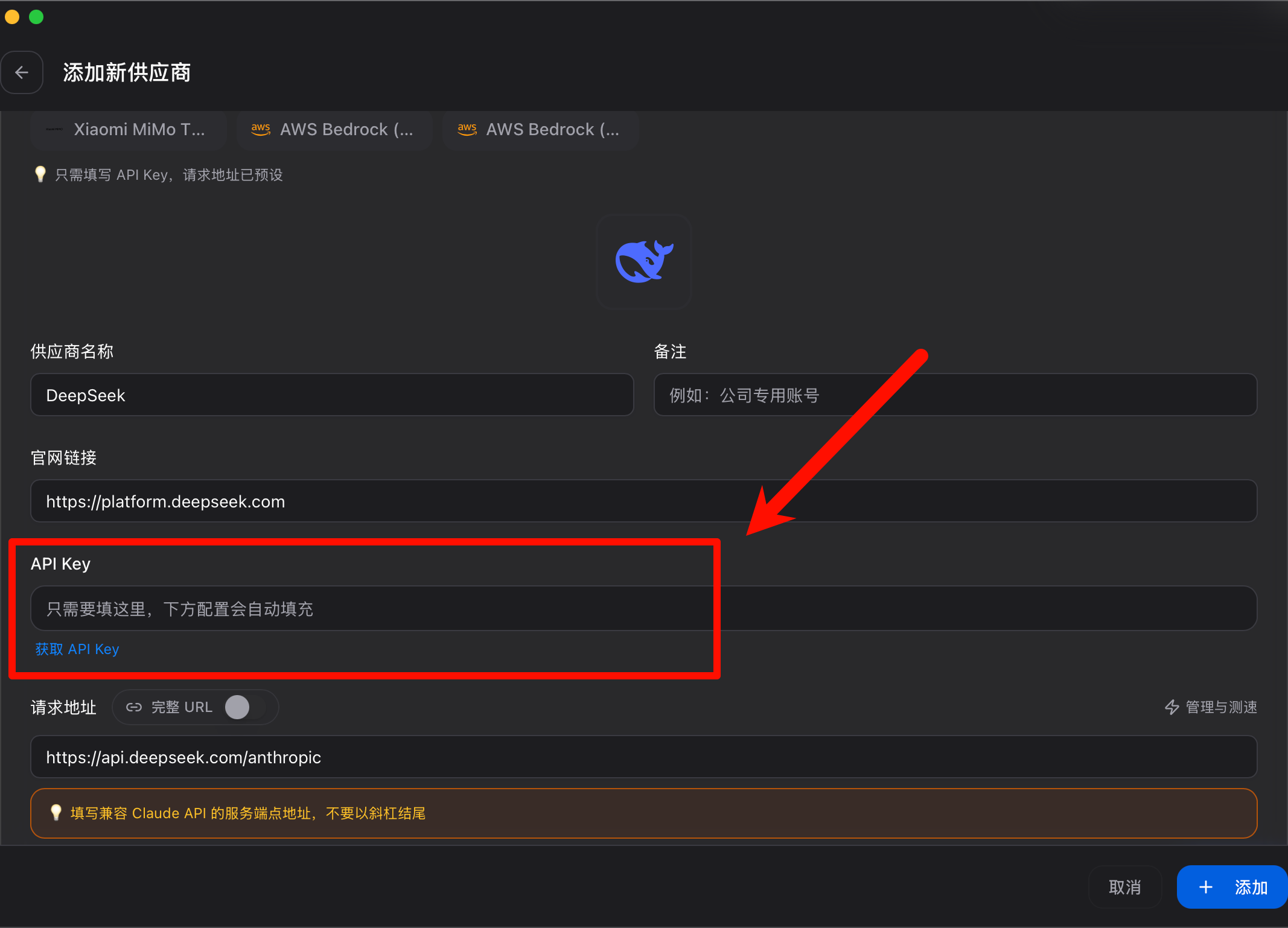 填写 API Key