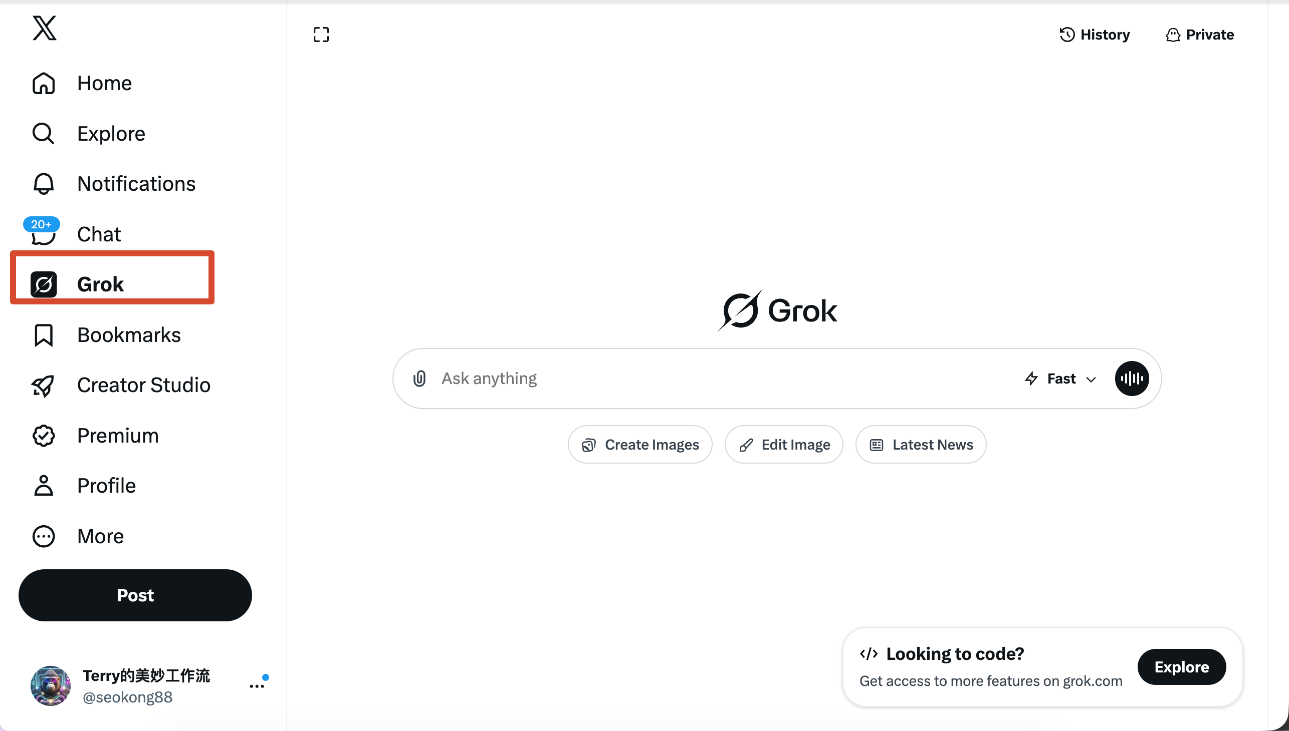 Grok 界面