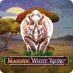 Majestic White Rhino