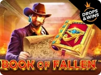 Book of Fallen