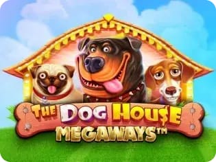 Dog House