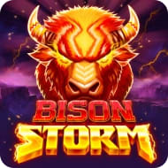 Bison Storm