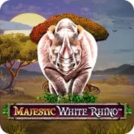 Majestic White Rhino