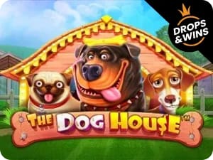 The Dog house
