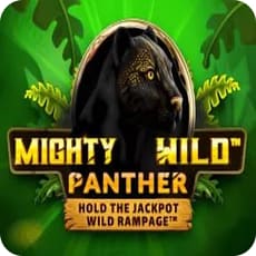 Mighty Wild Panther