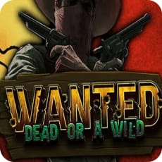 Wanted Dead or a Wild