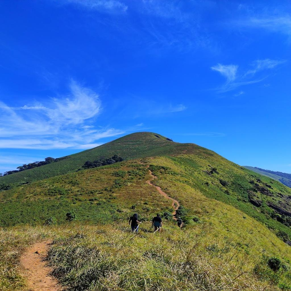 Brahmagiri Hills Nashik