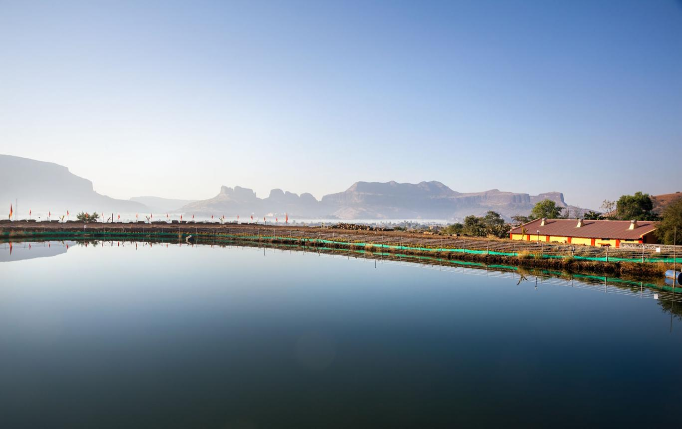 Gangapur Dam Nashik