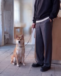 365.APParel Oversize Sweatshirt Black — man, cropped lower body, Shiba Inu on leash, wine bar, indoor