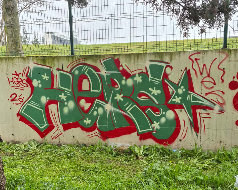 GRAFİTİ