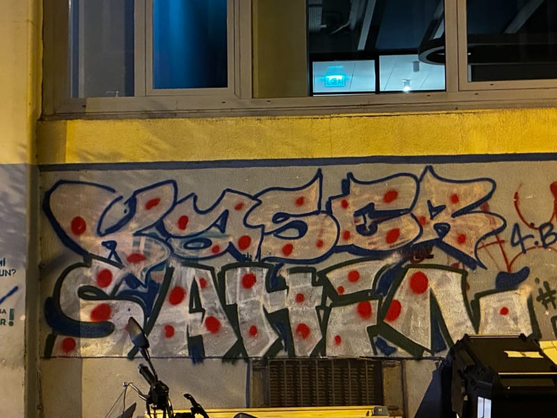 KASER, ŞAHİN Graffiti - NİŞANTAŞI, İstanbul - Walls of Türkiye