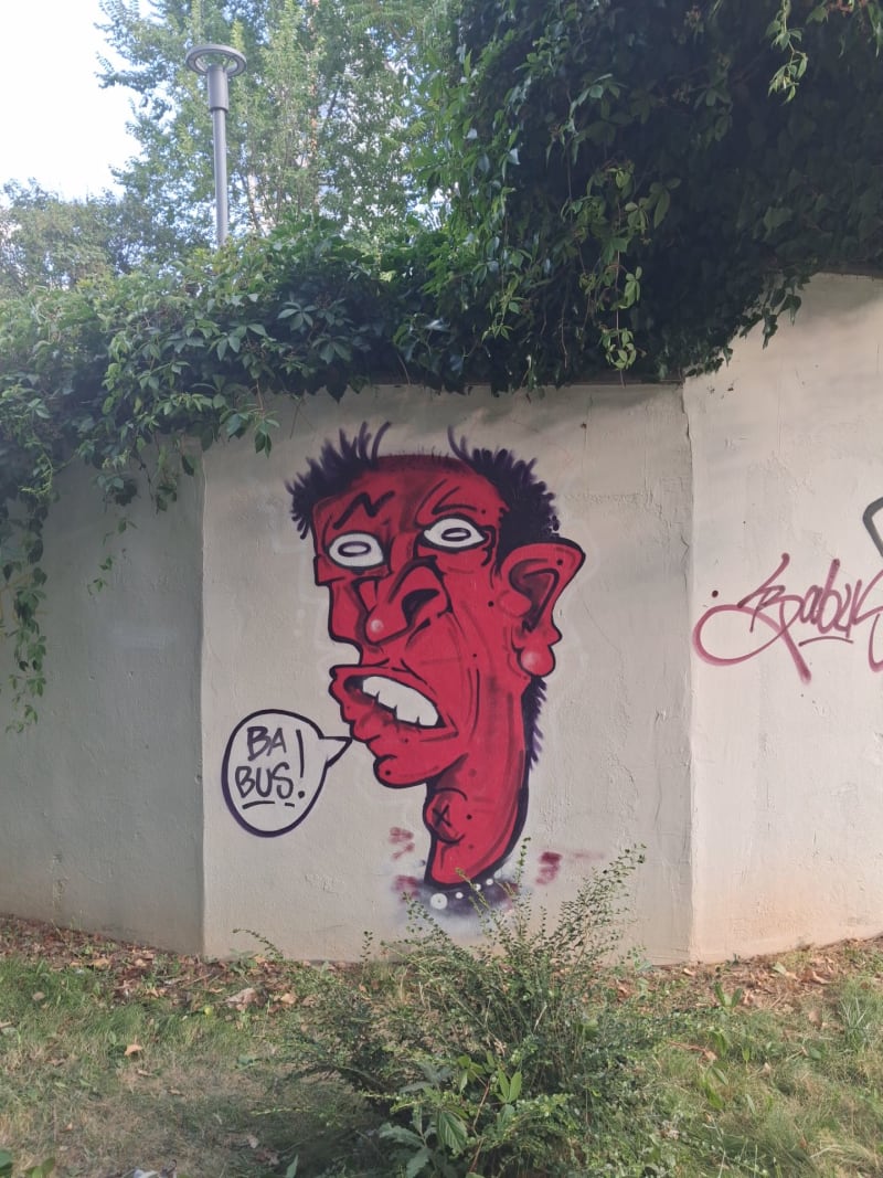 BABUŞ Graffiti - ankara - Walls of Türkiye