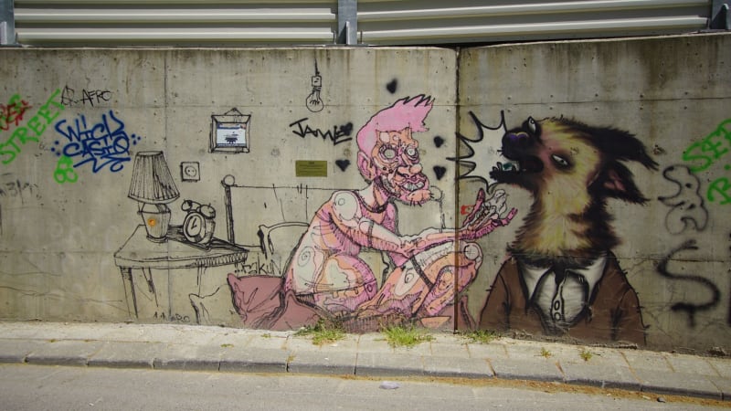 Rakun Graffiti - SUADİYE, İstanbul (2019) - Küçük Resim 3 - Walls of Türkiye