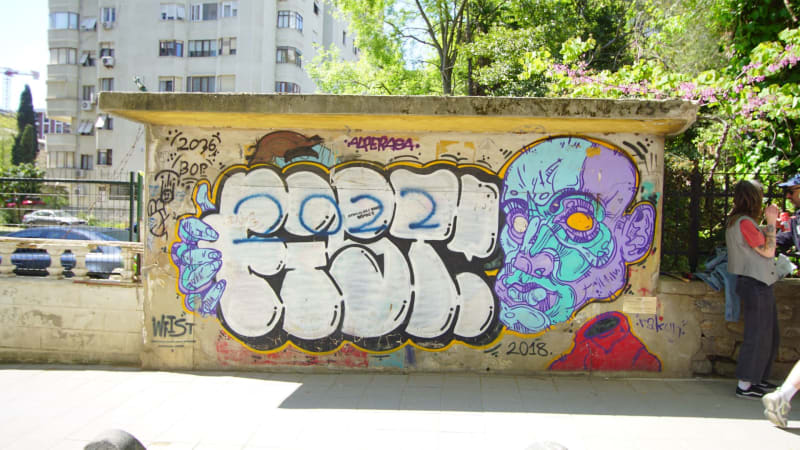 Rakun, WFİST Graffiti - Erenköy, İstanbul (2018) - Küçük Resim 2 - Walls of Türkiye