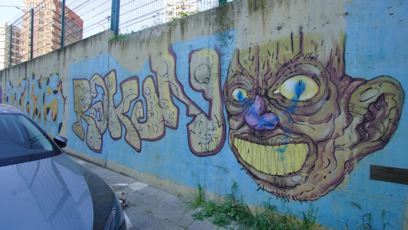 Rakun Graffiti - SUADİYE, İstanbul (2018) - Küçük Resim 2 - Walls of Türkiye