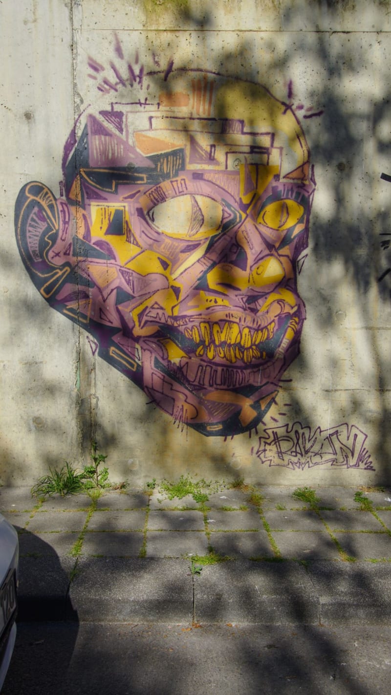 Rakun Graffiti - SUADİYE, İstanbul (2019) - Küçük Resim 2 - Walls of Türkiye