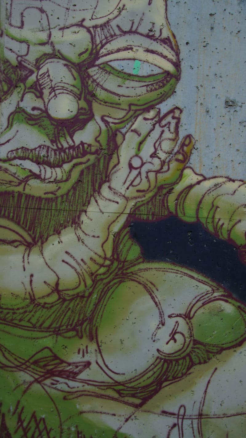 Rakun Graffiti - SUADİYE, İstanbul (2019) - Küçük Resim 3 - Walls of Türkiye