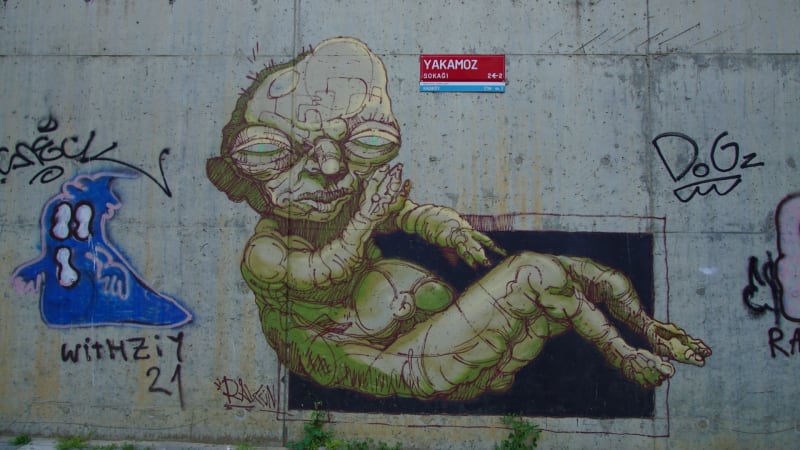 Rakun Graffiti - SUADİYE, İstanbul (2019) - Küçük Resim 4 - Walls of Türkiye