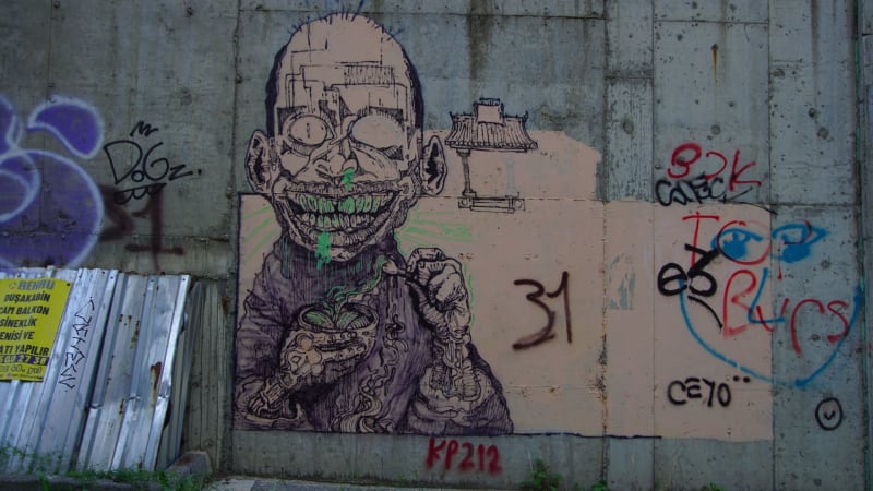 Rakun Graffiti - SUADİYE, İstanbul (2020) - Küçük Resim 2 - Walls of Türkiye