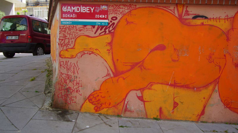 Rakun, Somon Graffiti - FENERYOLU, İstanbul (2021) - Küçük Resim 3 - Walls of Türkiye