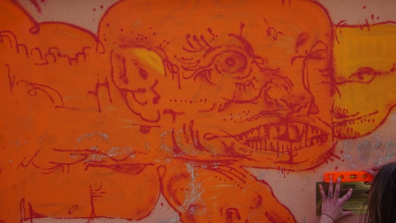 Rakun, Somon Graffiti - FENERYOLU, İstanbul (2021) - Küçük Resim 4 - Walls of Türkiye