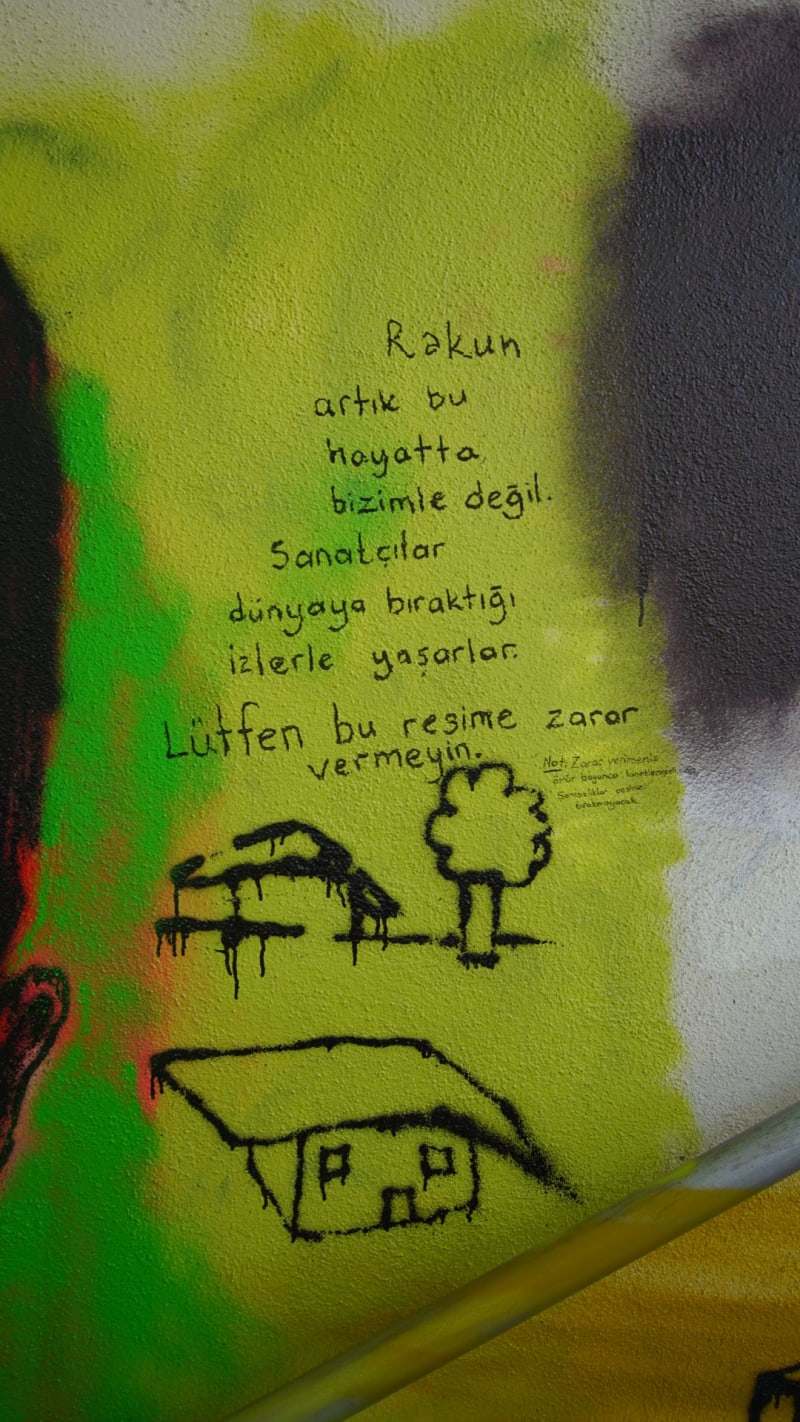 Rakun, YABANCI Graffiti - FENERYOLU, İstanbul (2023) - Küçük Resim 1 - Walls of Türkiye