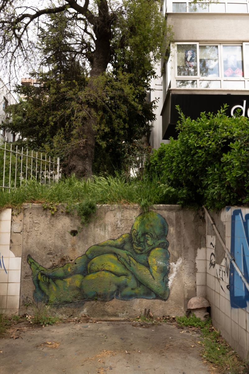 Rakun Graffiti - Kadıköy, İstanbul (2023) - Küçük Resim 3 - Walls of Türkiye