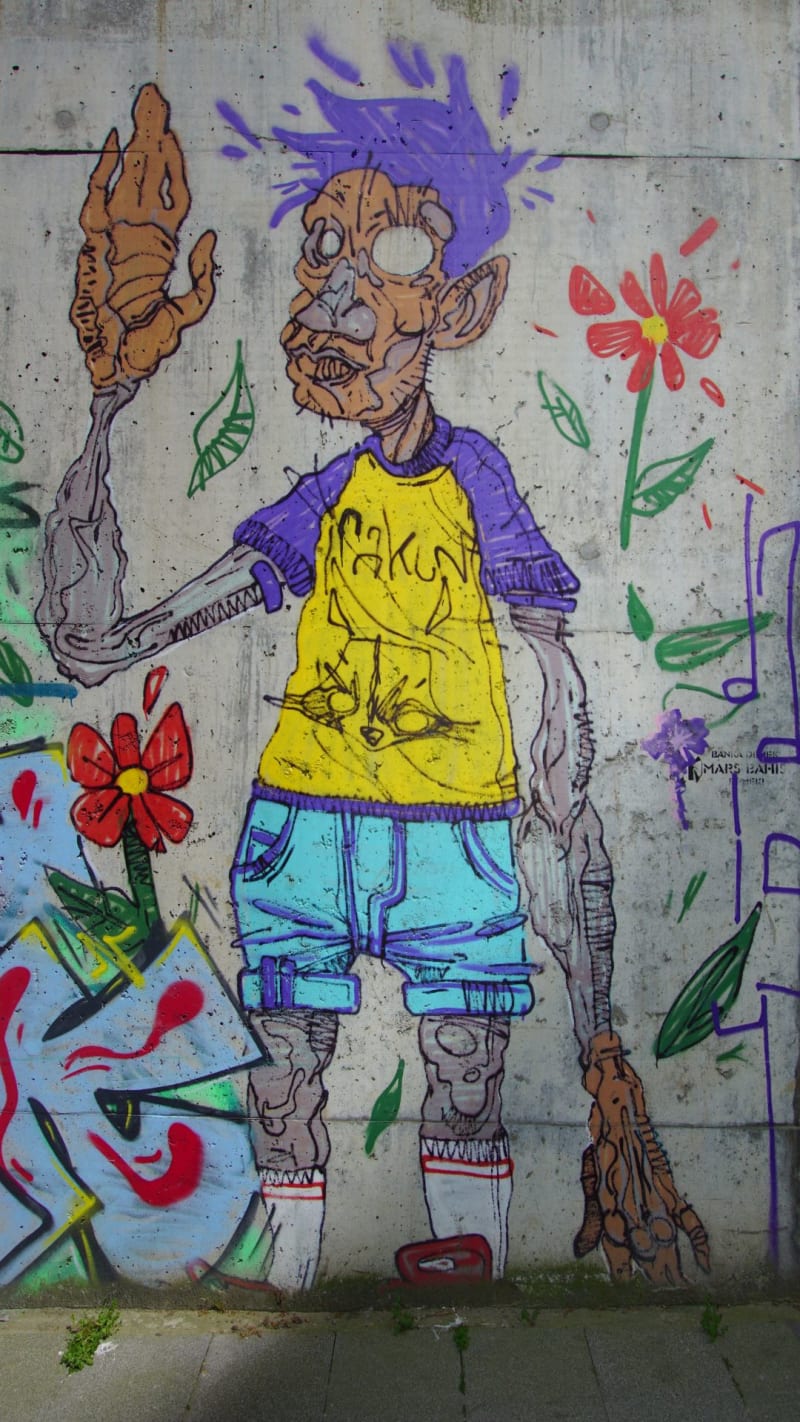 Rakun Graffiti - FENERYOLU, İstanbul (2020) - Küçük Resim 3 - Walls of Türkiye